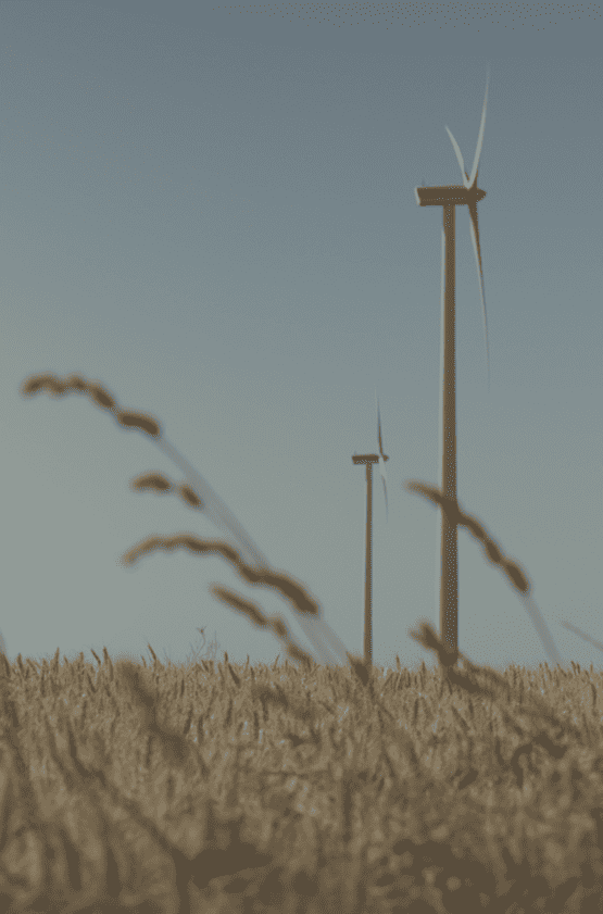 éoliennes champs blé