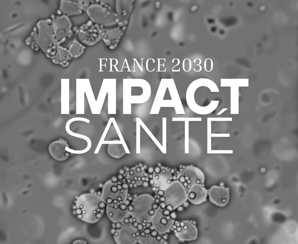 28_AFFICHES impact sante