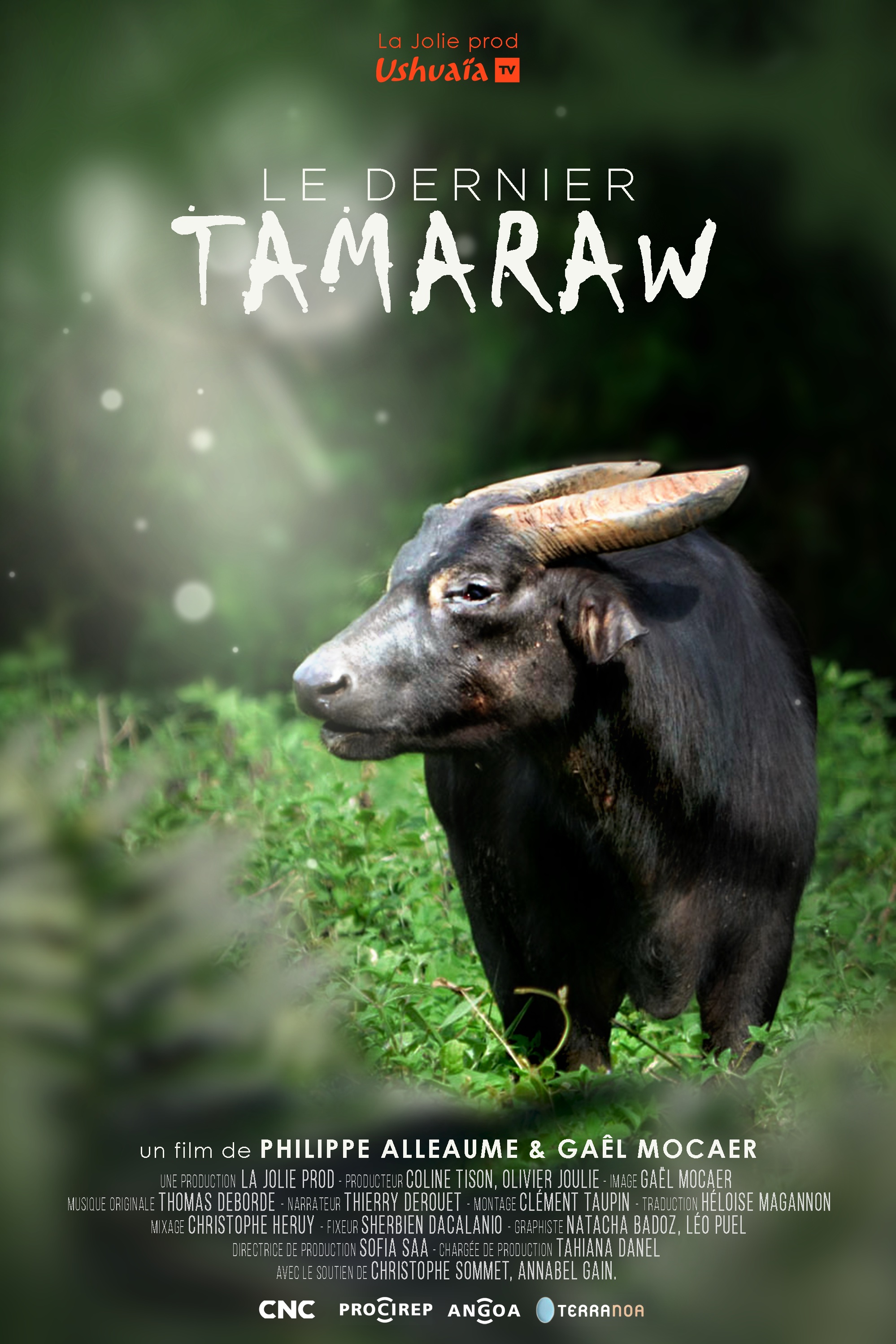 7_Le dernier tamaraw_JPEG